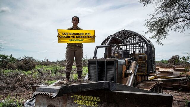 Greenpeace Chaco