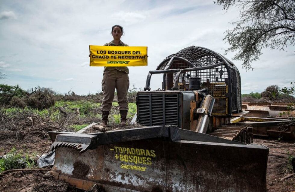 Greenpeace denuncia desmontes en Chaco en plena cuarentena