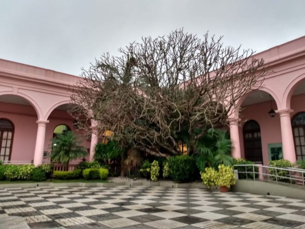 Martes con el cielo completamente despejado\u002E