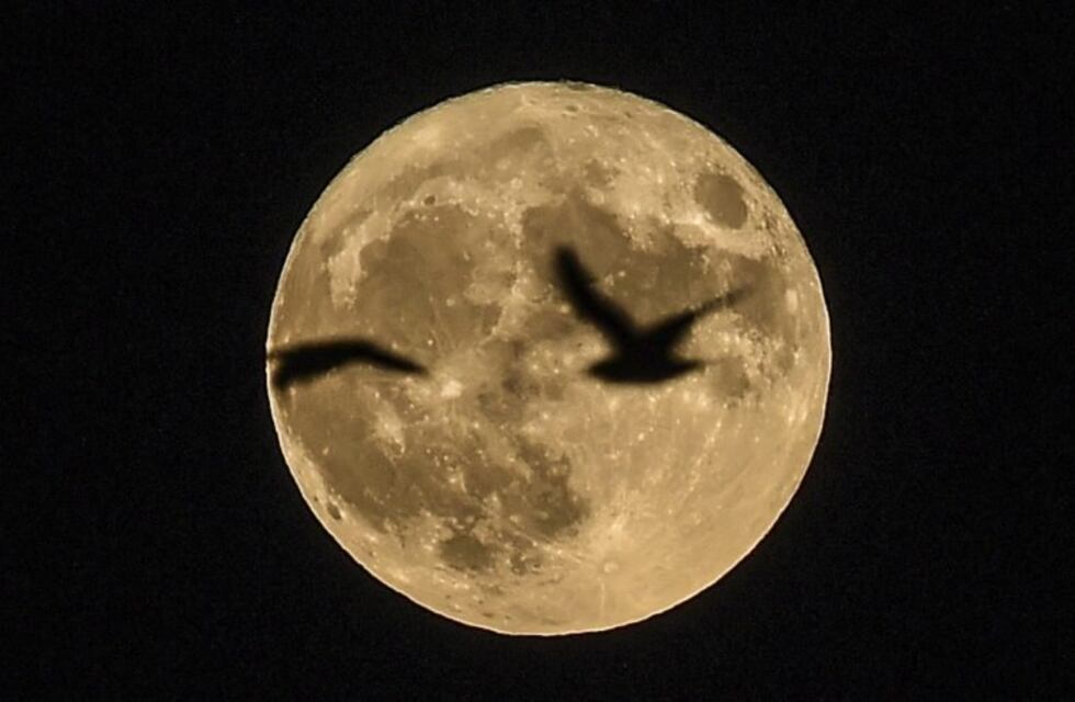 Se podrá ver una luna "gigante" en la primera noche del 2018
