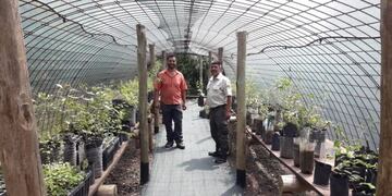 Germán Jaacks, donó 80 árboles nativos al vivero del Aula Ambiental\u002E
