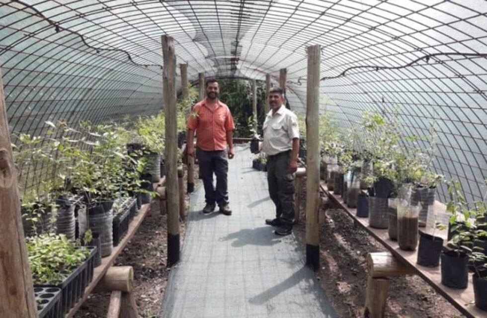 Donaron 80 árboles nativos al vivero del Aula Ambiental de Carlos Paz