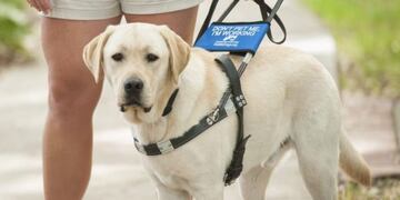 Promueven la concientización sobre \