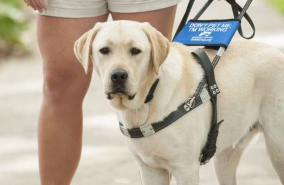 Un joven atleta platense que es ciego pide ayuda para conseguir su perro guía