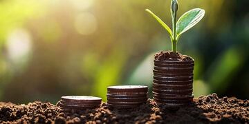 Taller de Bioeconomía Regional en Tierra del Fuego