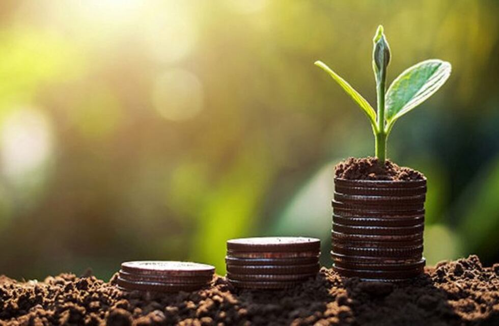 Se desarrolló el taller regional de Bioeconomía