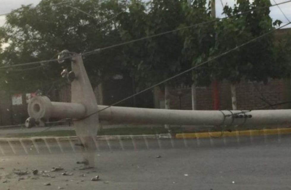Cortes de luz, ramas y postes caídos: así amaneció San Juan tras el fuerte viento
