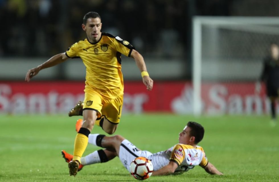 Fiera carbonera: Maxi Rodríguez renovó su contrato con Peñarol