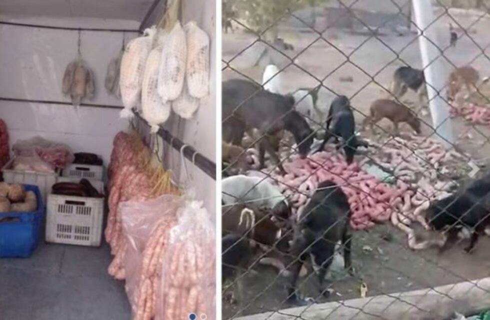 Perros rescatados se hicieron un festín con 100 kg de chorizos decomisados