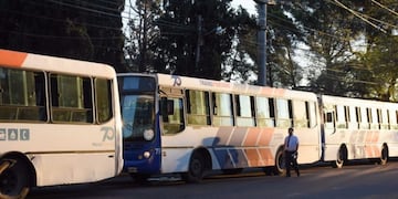 Colectivos de Transpuntano