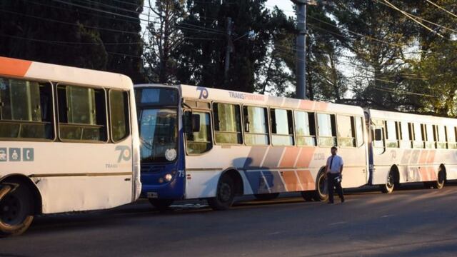 Colectivos de Transpuntano