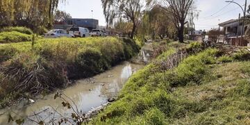 muerto en canal maestro sur