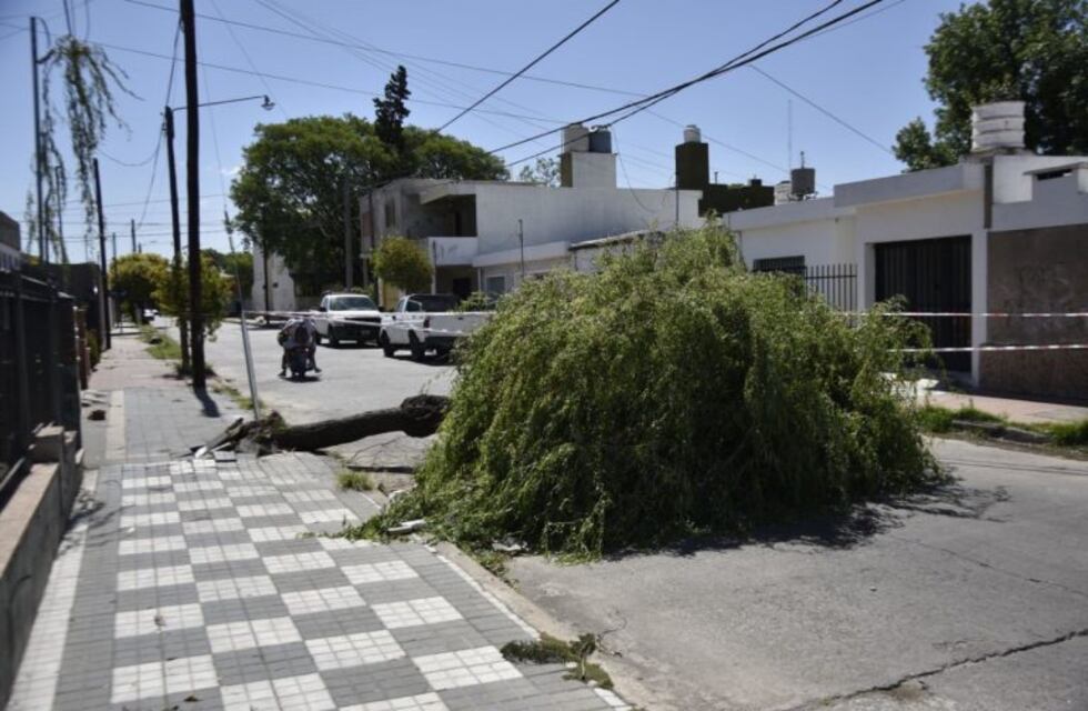 Más de 110 distribuidores de Epec salieron de servicio