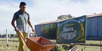 Avanza proyecto para que el programa Nueva Oportunidad sea ley