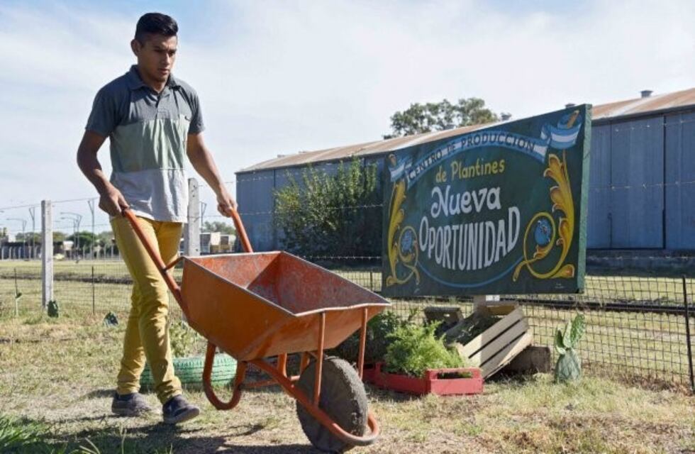 Avanza el proyecto para que el programa Nueva Oportunidad sea ley