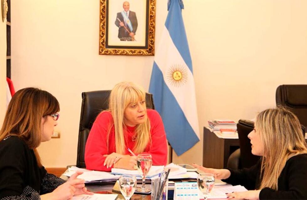 Faltan detalles para la creación de un Centro de Alergias en Tucumán