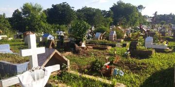 Desde la municipalidad afirmaron que incluso algunos guardias de seguridad fueron agredidos\u002E