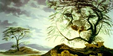 ¿Cuántos leones ves? La respuesta de este test psicológico te dice la edad mental que tenés