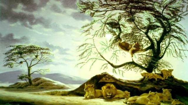 ¿Cuántos leones ves? La respuesta de este test psicológico te dice la edad mental que tenés