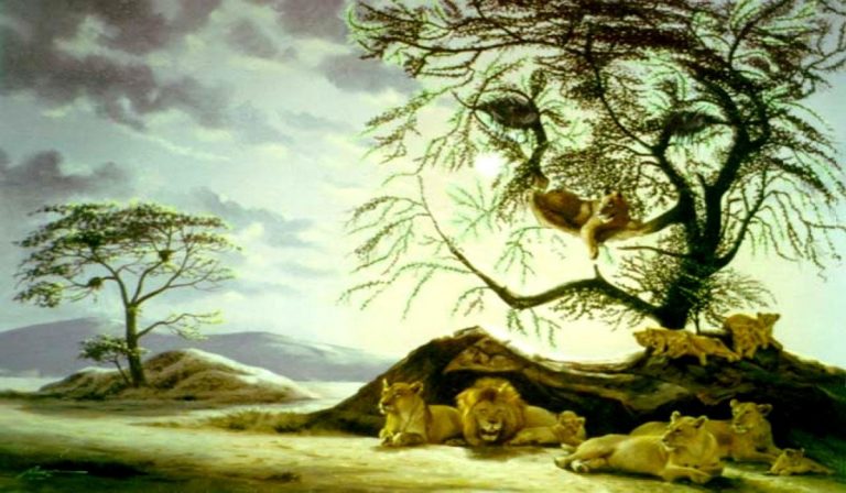 ¿Cuántos leones ves? La respuesta de este test de personalidad te dice la edad mental que tenés