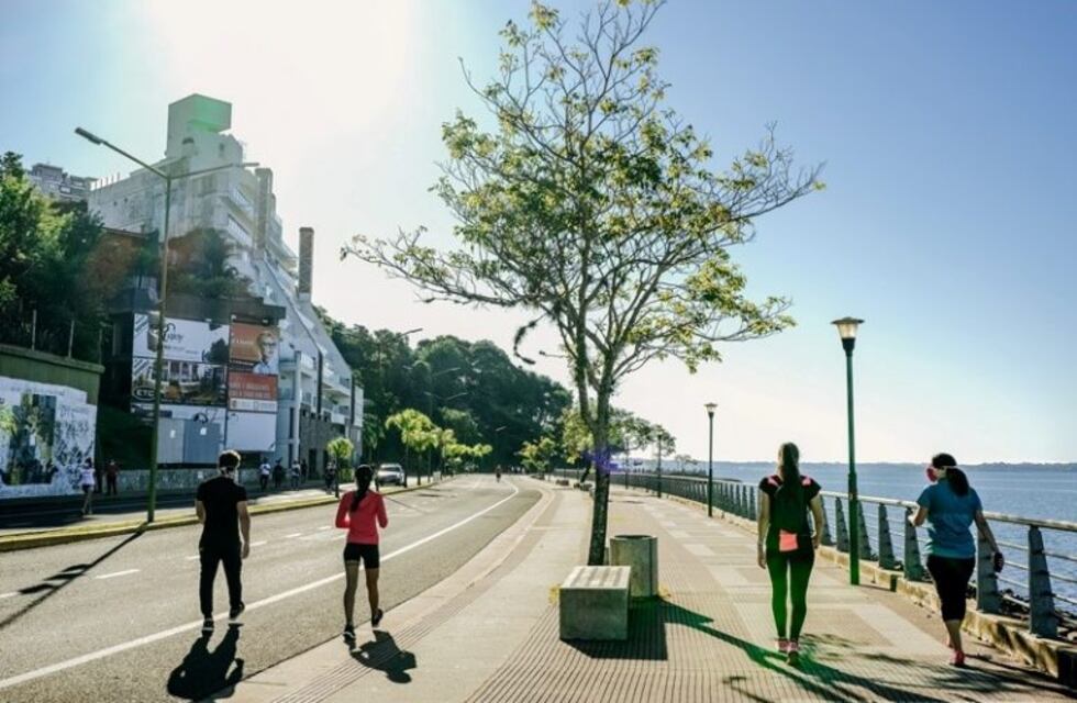 Plantaron árboles nativos en el balneario de la Costanera de Posadas