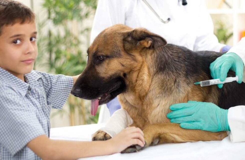 Pérez móvil estará en barrio Cabín 9