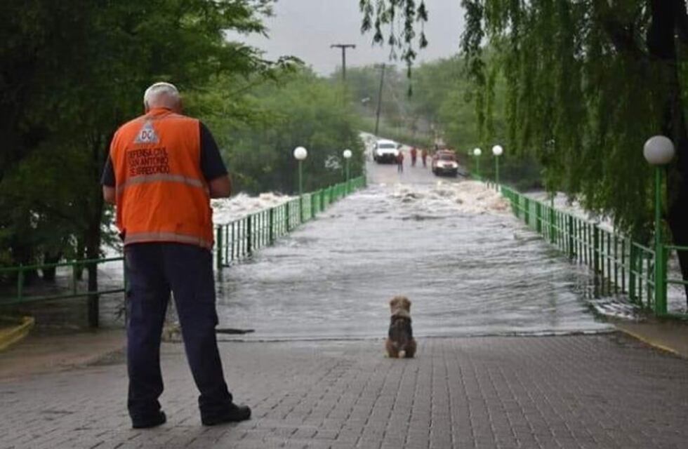 San Antonio: se extravió, lo encontraron y ahora se volvió a escapar