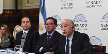 El senador Mario Fiad en la apertura del plenario para el debate del proyecto IVE