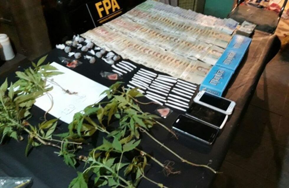 Una mujer detenida por tener 170 plantas de marihuana en su casa