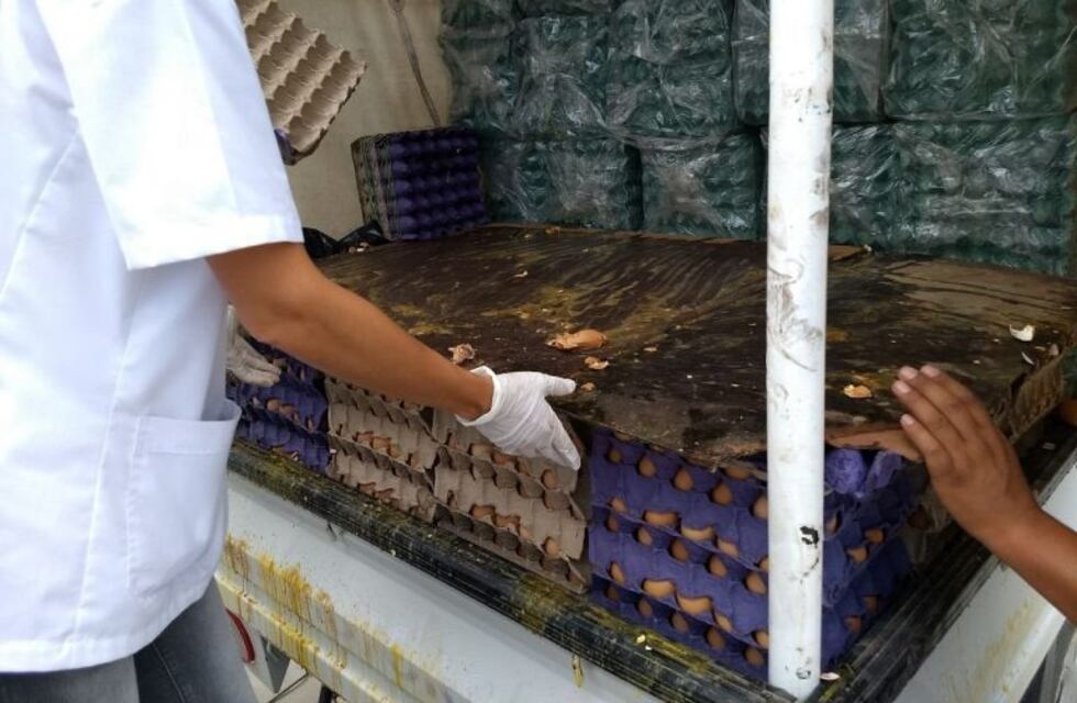 Decomisan 900 docenas de huevos que un transportista intentaba romper en un baldío
