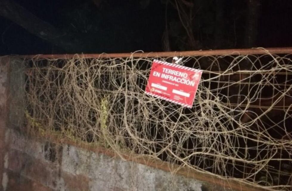 Dengue: aclaran que se necesita una ordenanza para limpiar terrenos privados