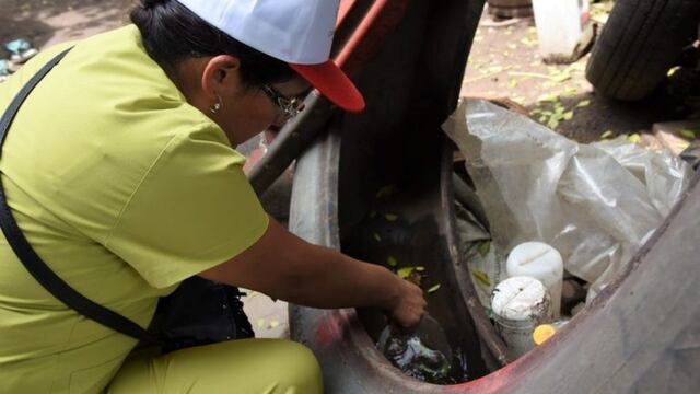 Lucha contra el mosquito aedes aegypti, en Jujuy