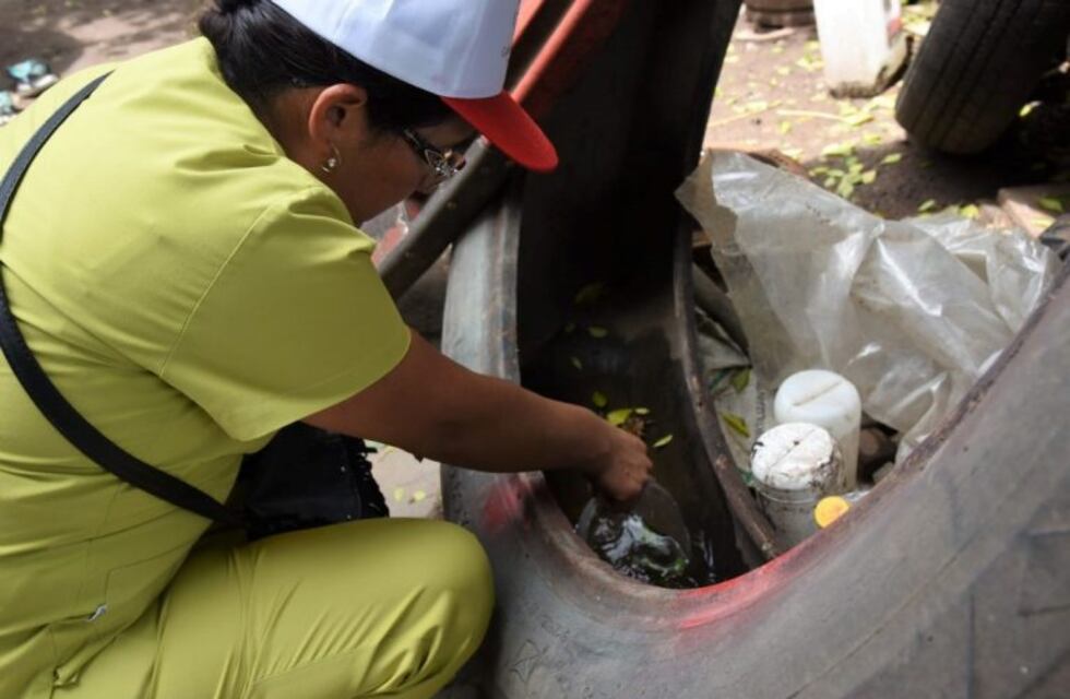 No deja de crecer la estadística de dengue en Jujuy: 283 casos