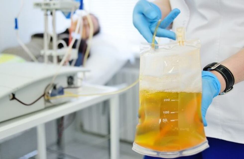 Bahía Blanca: solo 29 recuperados donaron plasma