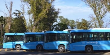 La línea 125 suma nuevas unidades