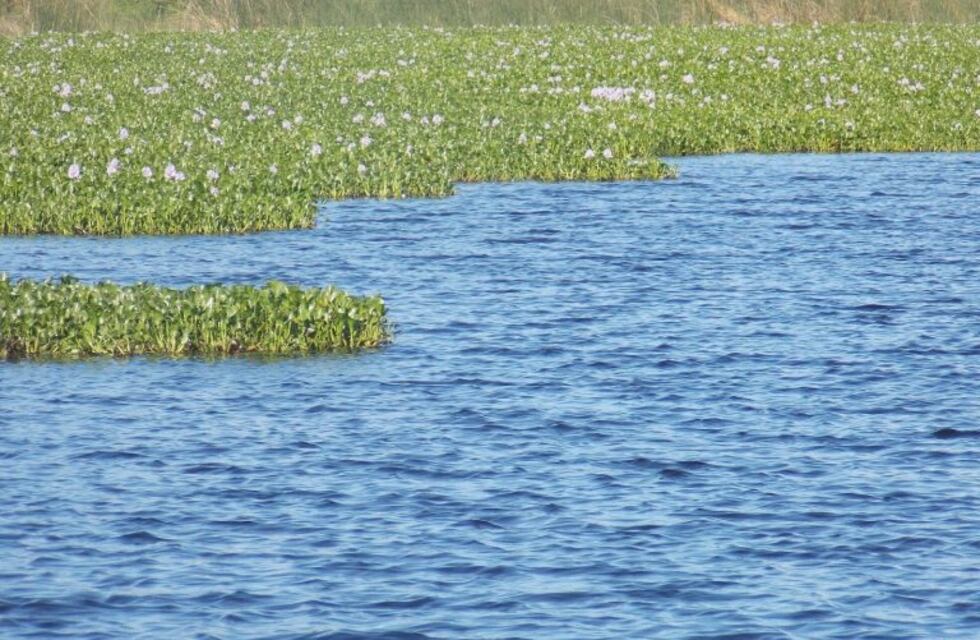 El plan Previaje disparó las reservas turísticas en todo el país