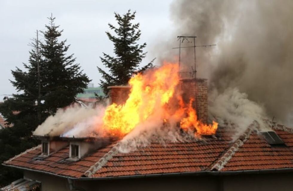 Un bebé intentó rescatar a su perro de un incendio y murieron juntos