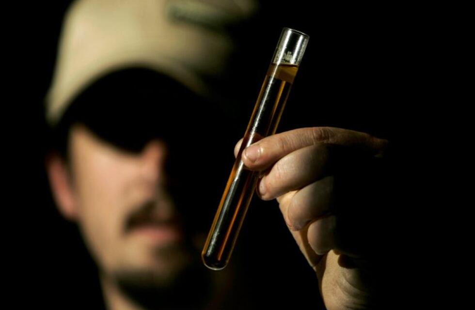 Advierten que el bloqueo de EE.UU. al biodiésel argentino paralizará a la industria local