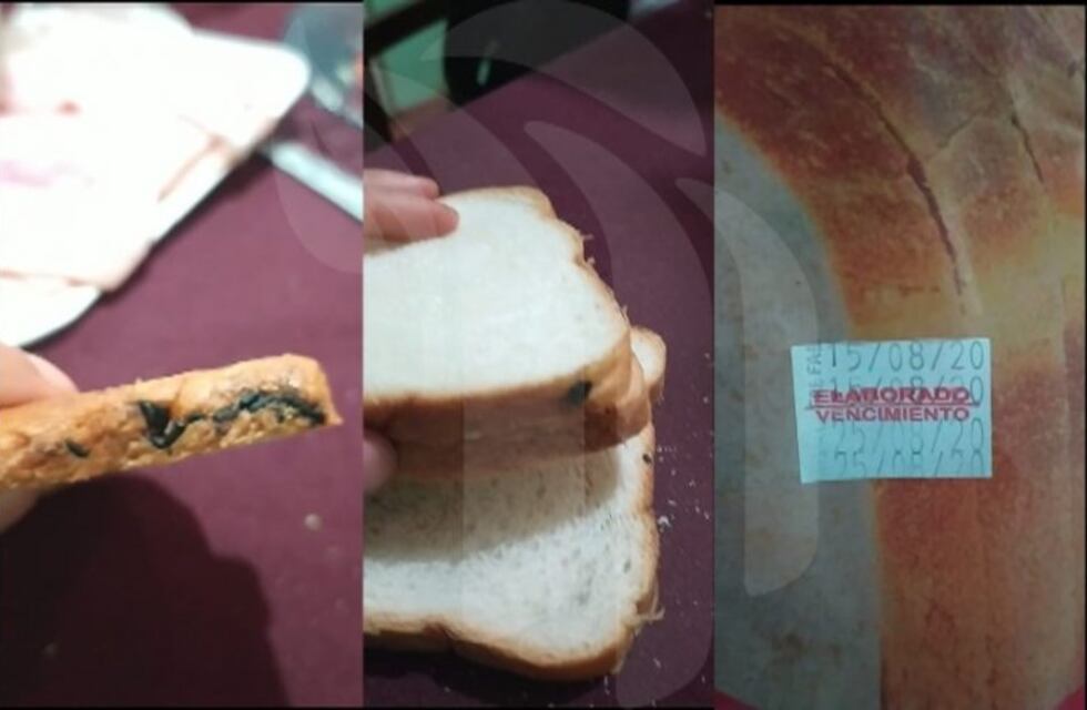 Clausuraron una panadería de Iguazú por falta de higiene