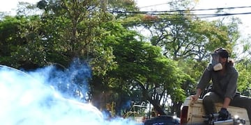 Operativo integral contra el dengue y otras enfermedades vectoriales en Posadas.