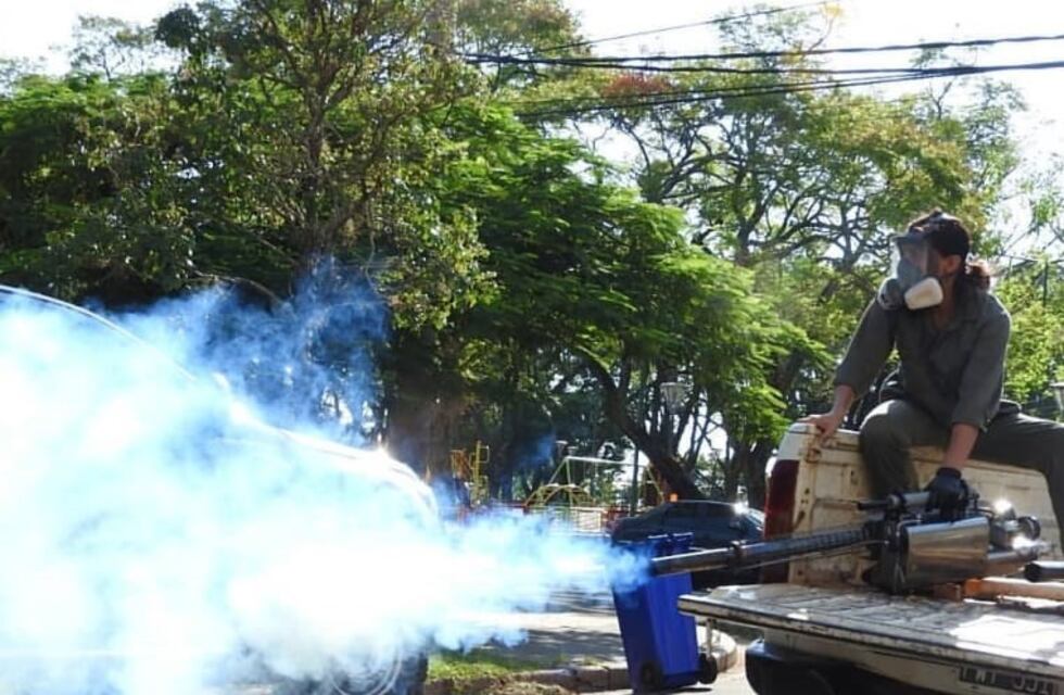 Operativo integral contra el dengue y otras enfermedades vectoriales en Posadas
