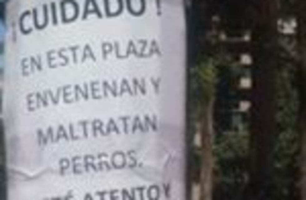 Advierten sobre envenenamiento de perros en plaza Colón
