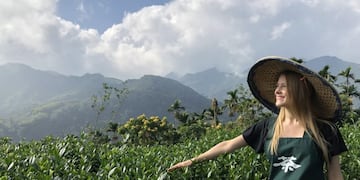 Los secretos del té, revelados por la tea blender Victoria Bisogno