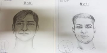 Identikit de los estafadores (Diario Textual)