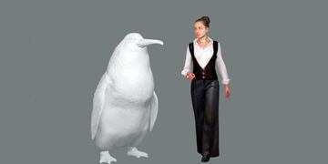 Encontraron los restos de un pingüino gigante que vivió hace 60 millones de años