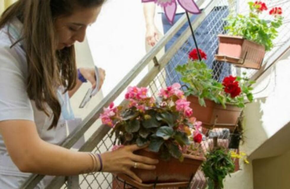 El lunes 20 arranca un nuevo monitoreo del Aedes en Córdoba