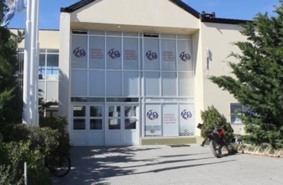 Marcha en pedido de justicia por la muerte de gemelos en el baño de un hospital en Las Heras