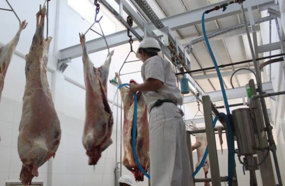 Aumentó la producción y el consumo de carne de cerdo en Mendoza