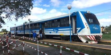 Gestionan la reactivación del Tren Metropolitano