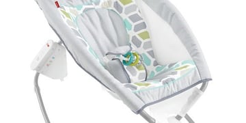 Cuna ''Rock n' Play'' (Web)